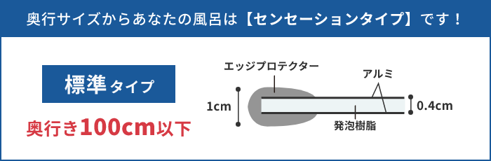 ご入力サイズはセンセーションタイプです