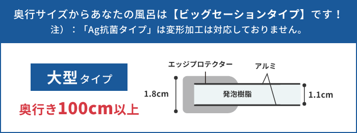 ご入力サイズはビッグーションタイプです